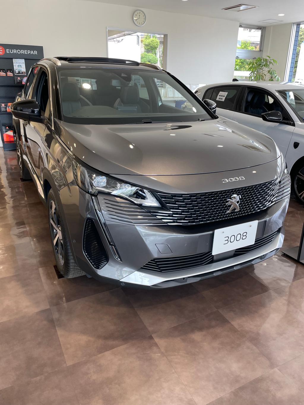 3008GT（エクステリア）