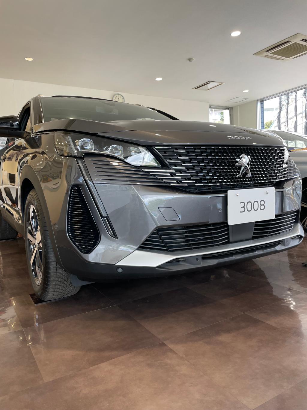3008GT（エクステリア）