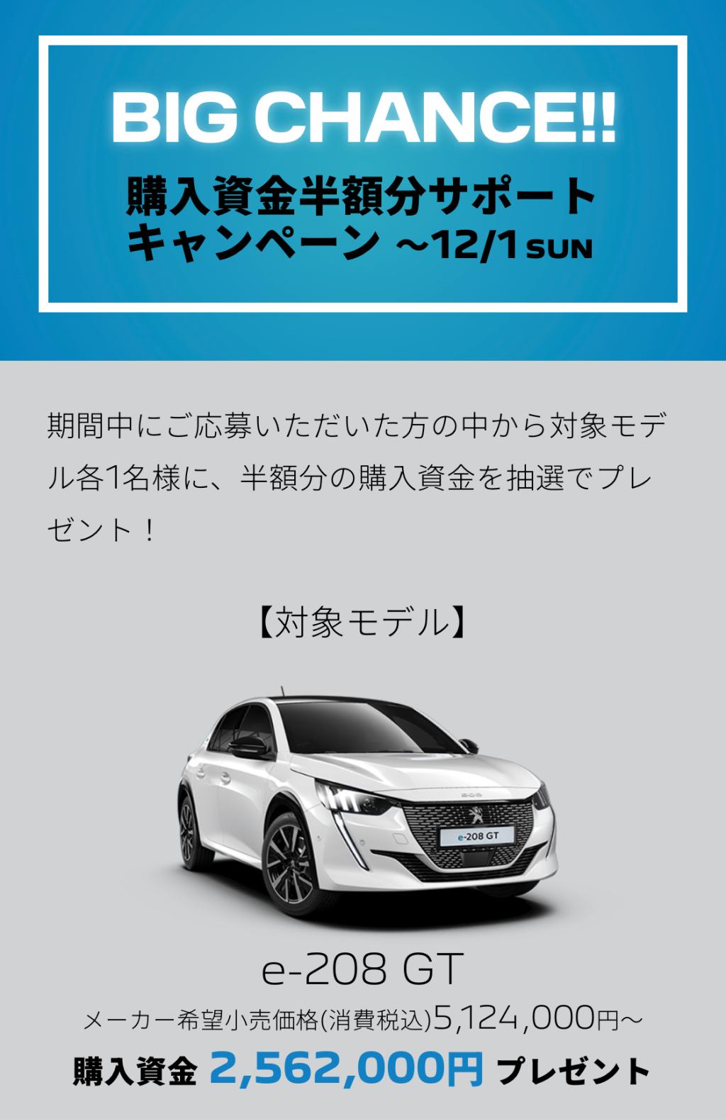 PEUGEOT　BLUE　FRIDAY（エクステリア編）