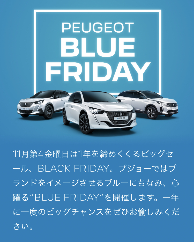 BLUE FRIDAYは今週末まで！（インテリア）